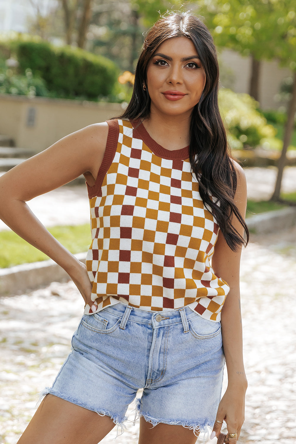 Brown Checkered Ribbed Trim Knit Sweater Vest